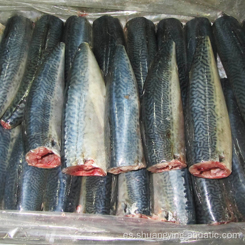 Frozen 150G HGT Pacific Mackerel Fish IQF